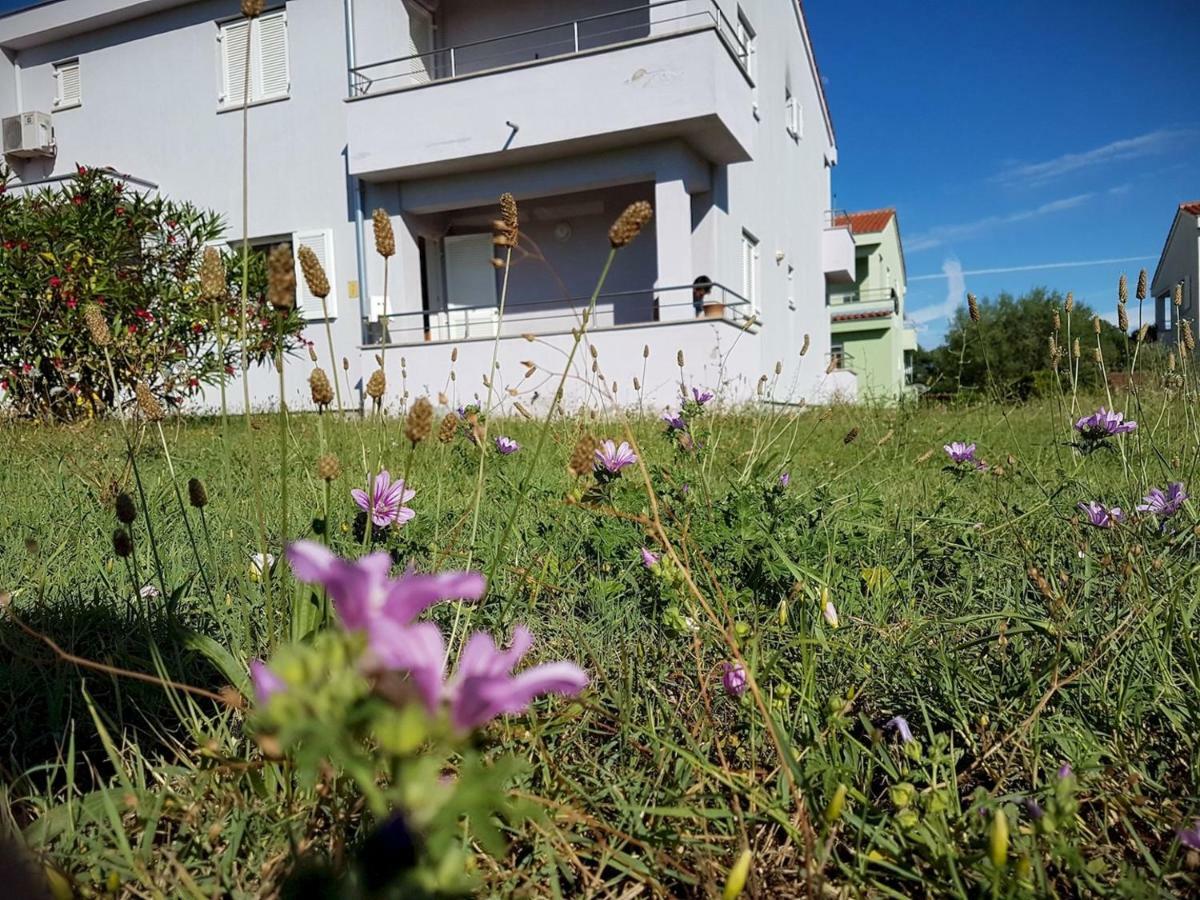 Apartment Vitalia 2+2 Poreč Exterior foto